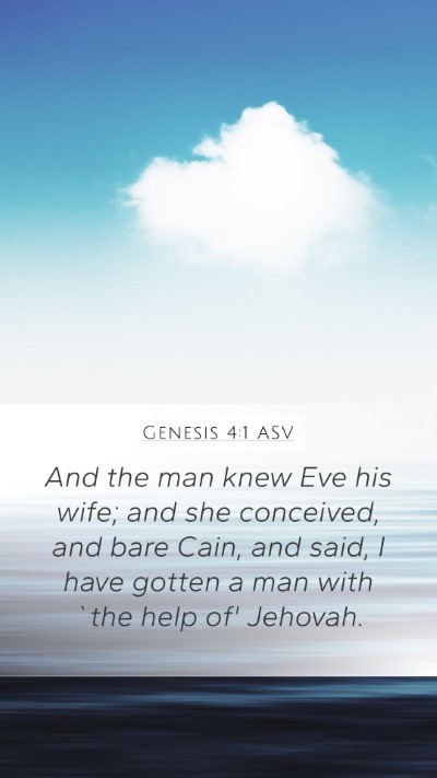 Genesis 4:1 ASV Mobile Phone Wallpaper - And the man knew Eve his wife; and she conceived, - Mobile Bible Verse Wallpaper