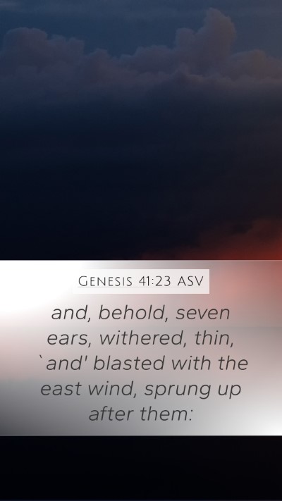 Genesis 41:23 ASV Mobile Phone Wallpaper - and, behold, seven ears, withered, thin, `and' - Mobile Bible Verse Wallpaper