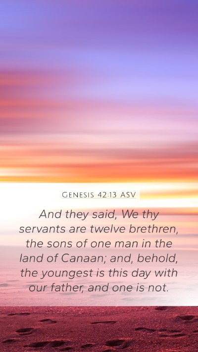 Genesis 42:13 ASV Bible Verse Image