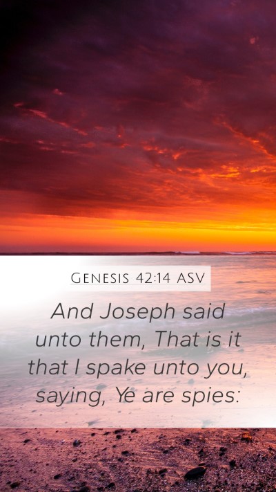 Genesis 42:14 ASV Mobile Phone Wallpaper - And Joseph said unto them, That is it that I - Mobile Bible Verse Wallpaper
