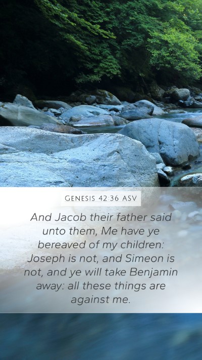 Genesis 42:36 ASV Bible Verse Image