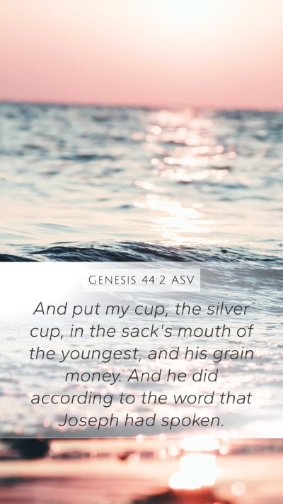 Genesis 44:2 ASV Bible Verse Image