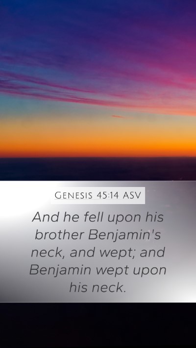 Genesis 45:14 ASV Bible Verse Image