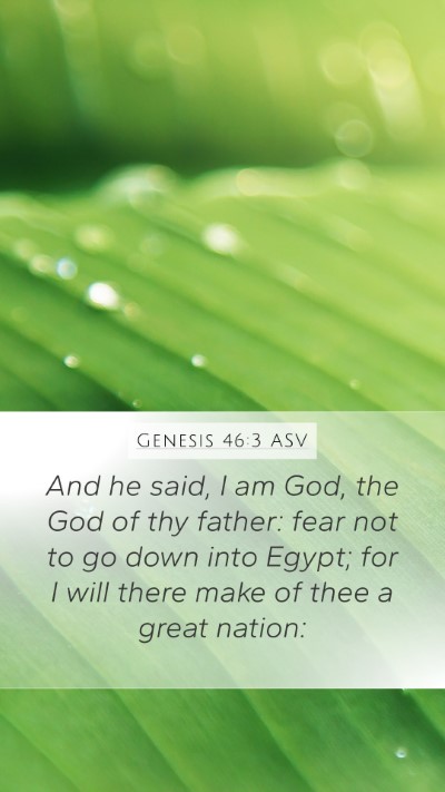 Genesis 46:3 ASV Bible Verse Image