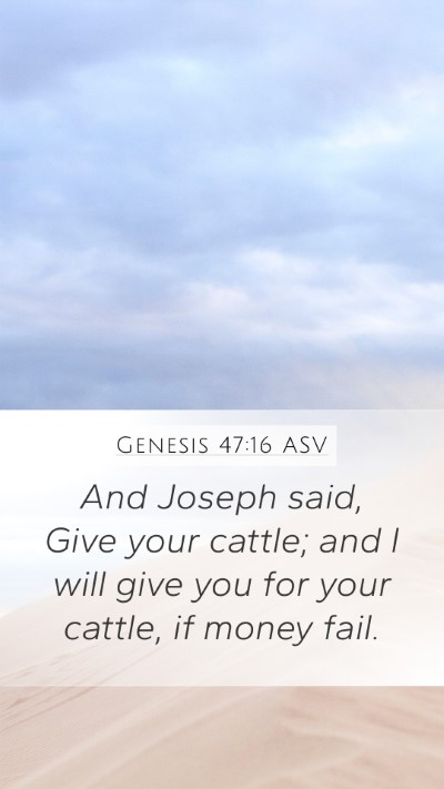 Genesis 47:16 ASV Mobile Phone Wallpaper - And Joseph said, Give your cattle; and I will - Mobile Bible Verse Wallpaper