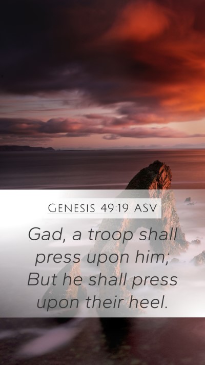 Genesis 49:19 ASV Bible Verse Image