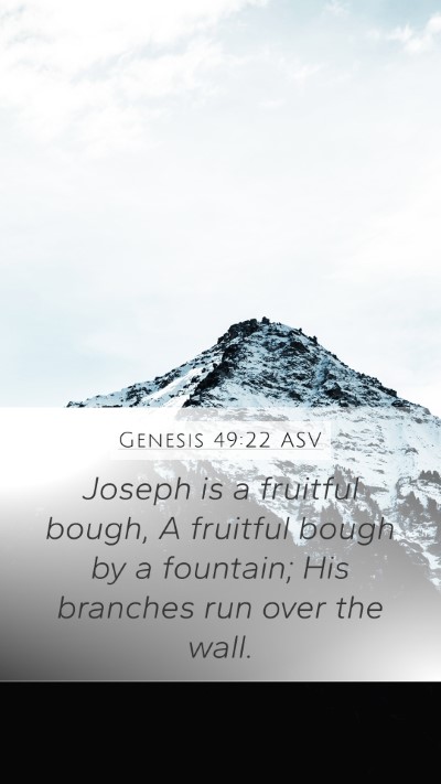 Genesis 49:22 ASV Bible Verse Image
