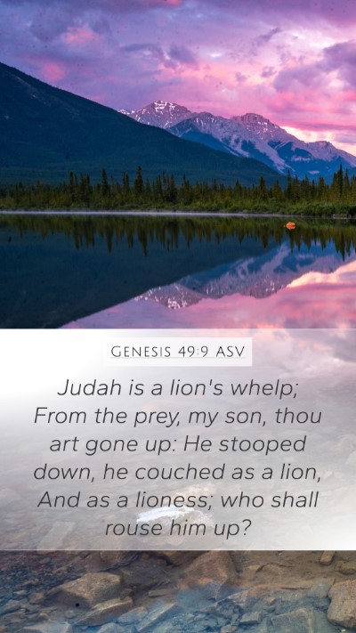 Genesis 49:9 ASV Bible Verse Image