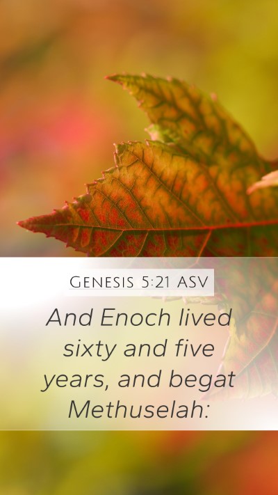Genesis 5:21 ASV Bible Verse Image
