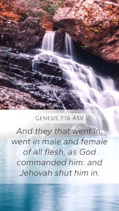 Genesis 7:16 ASV Bible Verse Image