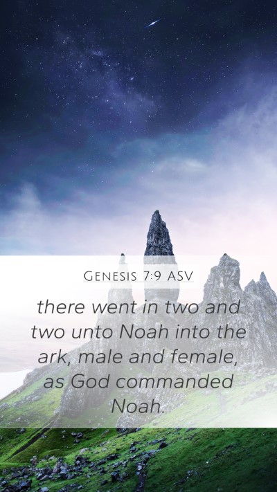Genesis 7:9 ASV Mobile Phone Wallpaper - there went in two and two unto Noah into the ark, - Mobile Bible Verse Wallpaper