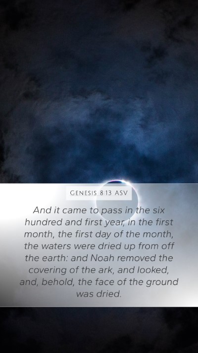 Genesis 8:13 ASV Bible Verse Image