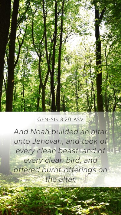 Genesis 8:20 ASV Bible Verse Image