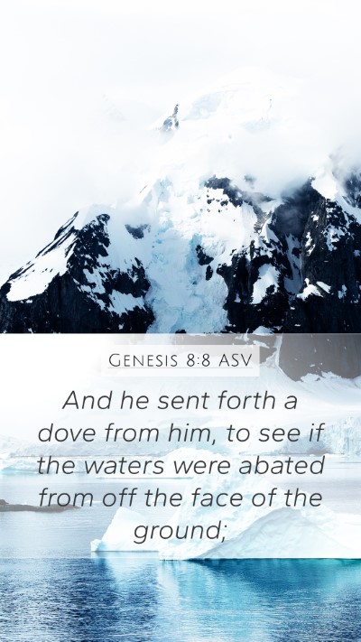 Genesis 8:8 ASV Mobile Phone Wallpaper - And he sent forth a dove from him, to see if the - Mobile Bible Verse Wallpaper