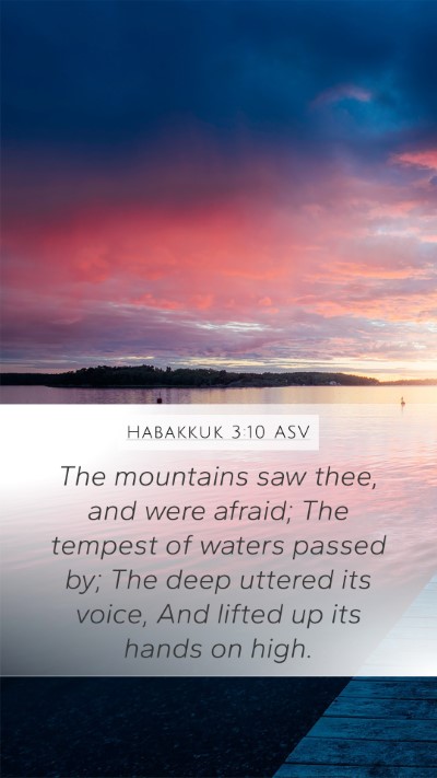 Habakkuk 3:10 ASV Bible Verse Image