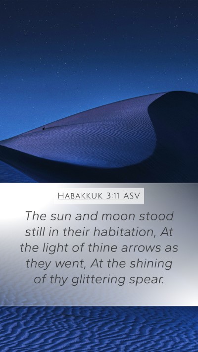 Habakkuk 3:11 ASV Bible Verse Image