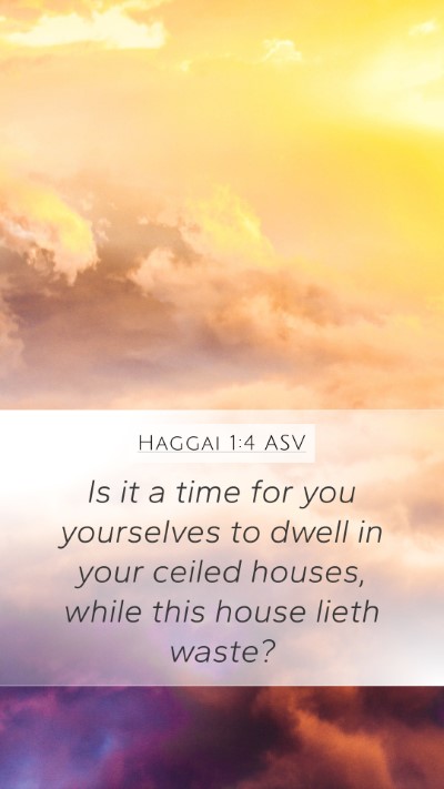 Haggai 1:4 ASV Bible Verse Image