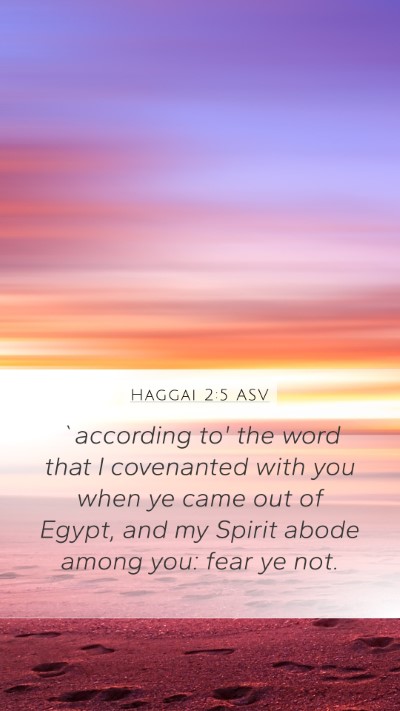 Haggai 2:5 ASV Bible Verse Image