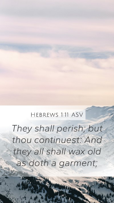Hebrews 1:11 ASV Bible Verse Image