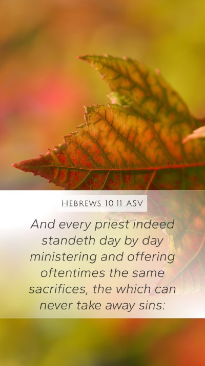 Hebrews 10:11 ASV Bible Verse Image
