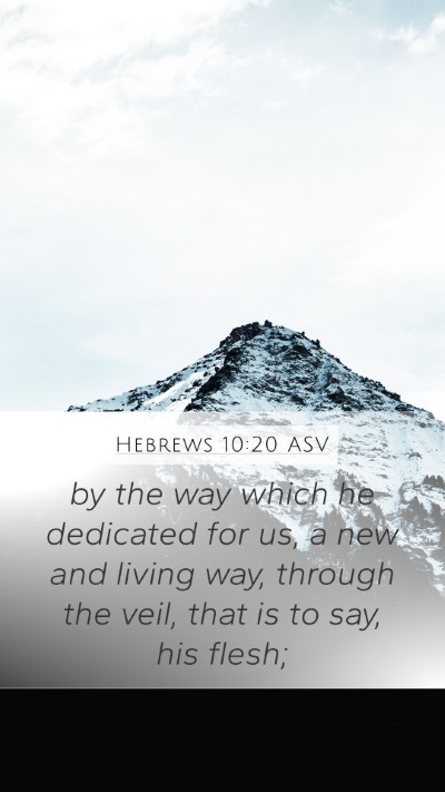 Hebrews 10:20 ASV Bible Verse Image