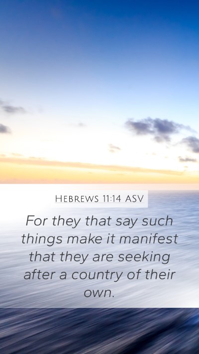 Hebrews 11:14 ASV Bible Verse Image