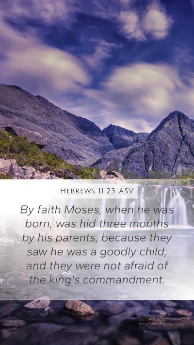 Hebrews 11:23 ASV Bible Verse Image