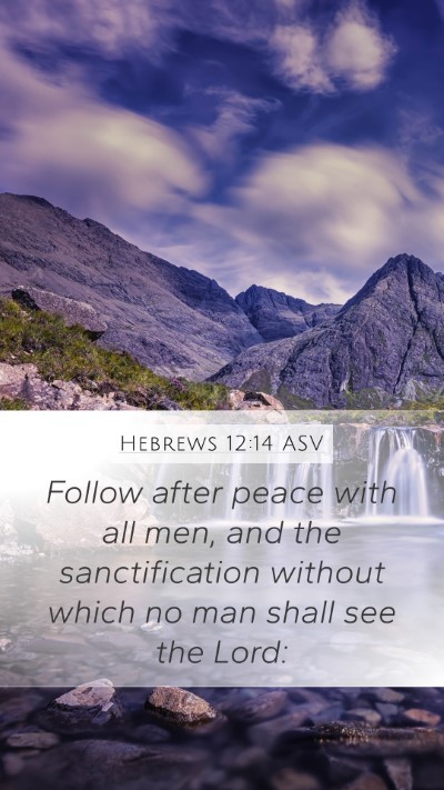 Hebrews 12:14 ASV Bible Verse Image
