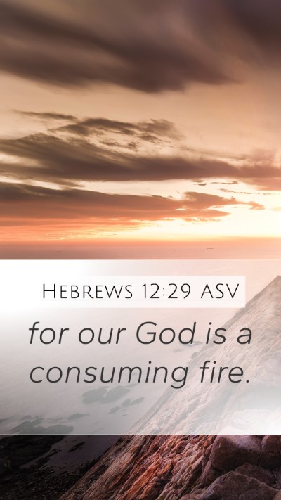 Hebrews 12:29 ASV Bible Verse Image