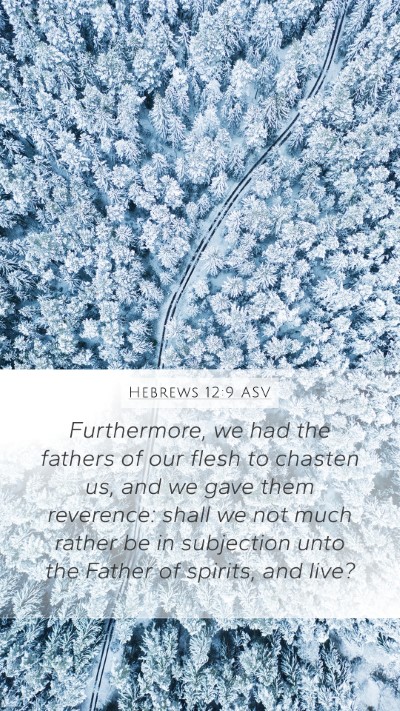 Hebrews 12:9 ASV Bible Verse Image