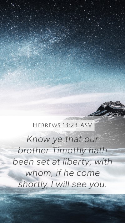 Hebrews 13:23 ASV Bible Verse Image