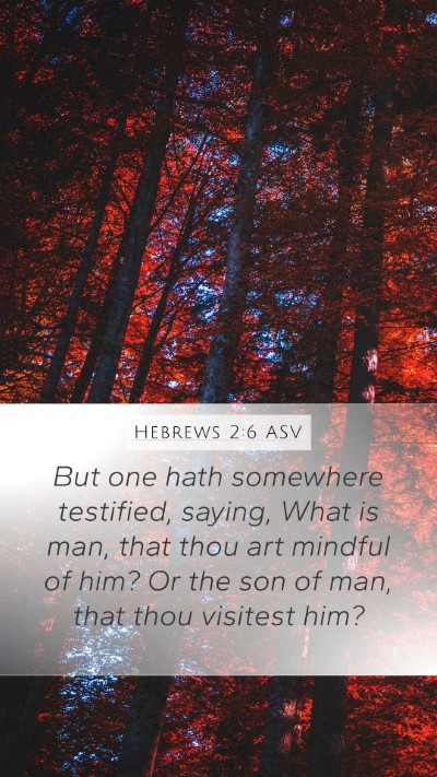 Hebrews 2:6 ASV Bible Verse Image
