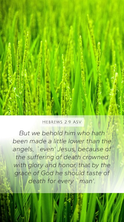 Hebrews 2:9 ASV Bible Verse Image