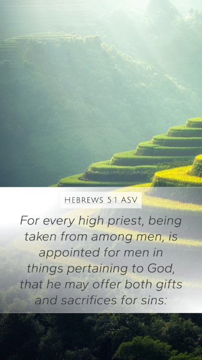 Hebrews 5:1 ASV Bible Verse Image