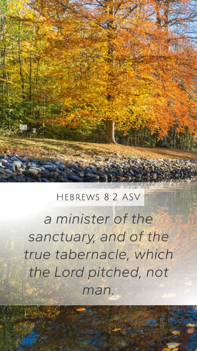 Hebrews 8:2 ASV Bible Verse Image