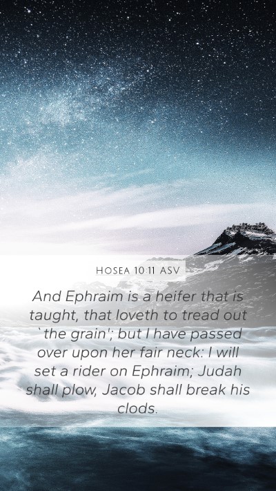 Hosea 10:11 ASV Bible Verse Image