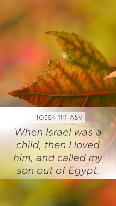 Hosea 11:1 ASV Bible Verse Image