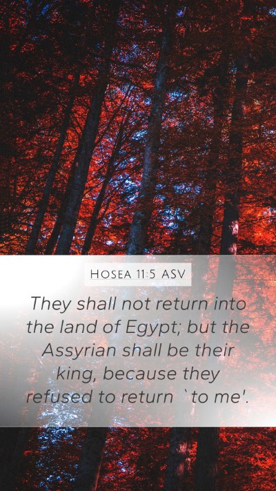 Hosea 11:5 ASV Bible Verse Image