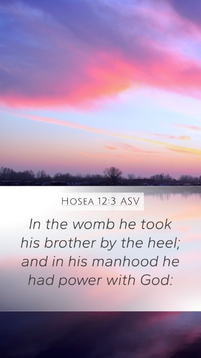 Hosea 12:3 ASV Bible Verse Image