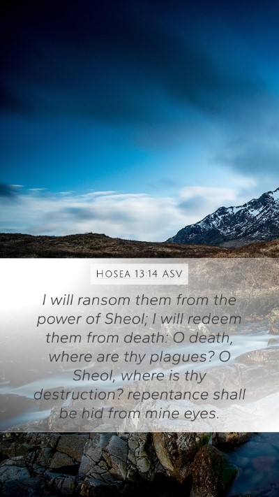 Hosea 13:14 ASV Bible Verse Image