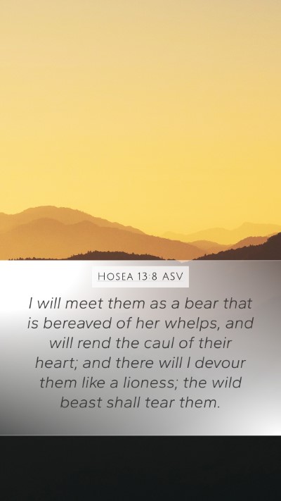 Hosea 13:8 ASV Bible Verse Image