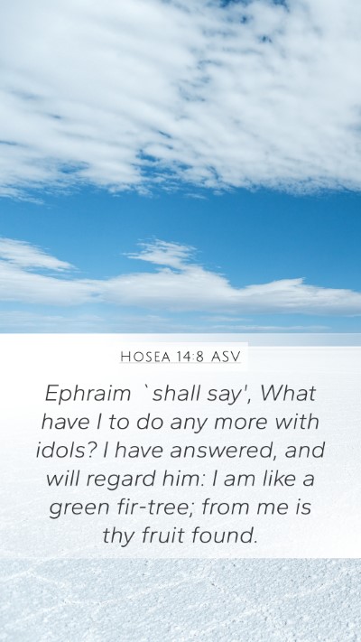 Hosea 14:8 ASV Bible Verse Image