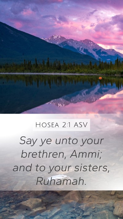 Hosea 2:1 ASV Mobile Phone Wallpaper - Say ye unto your brethren, Ammi; and to your - Mobile Bible Verse Wallpaper