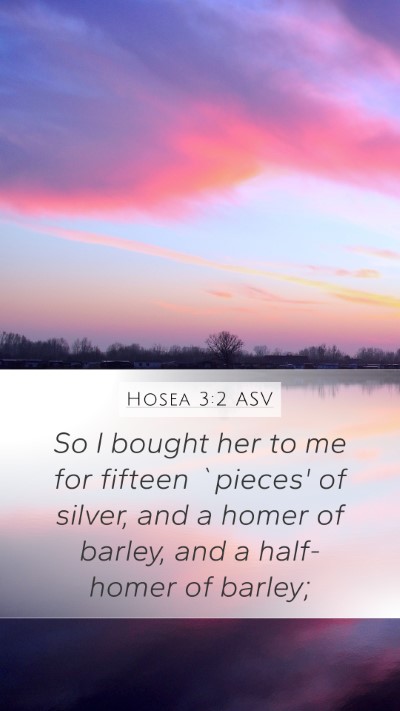 Hosea 3:2 ASV Bible Verse Image