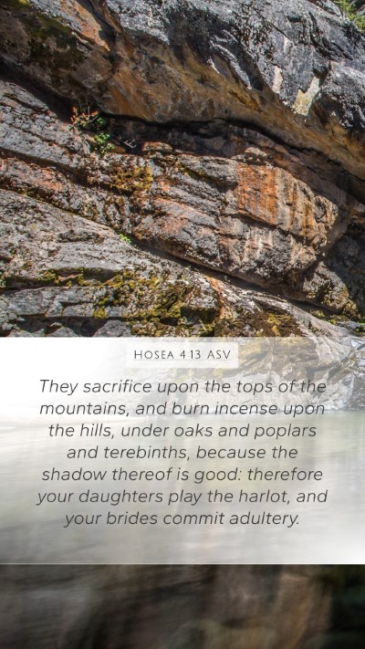 Hosea 4:13 ASV Bible Verse Image