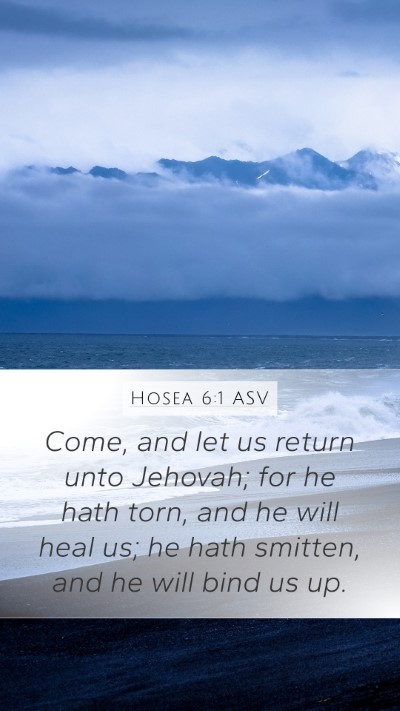 Hosea 6:1 ASV Bible Verse Image