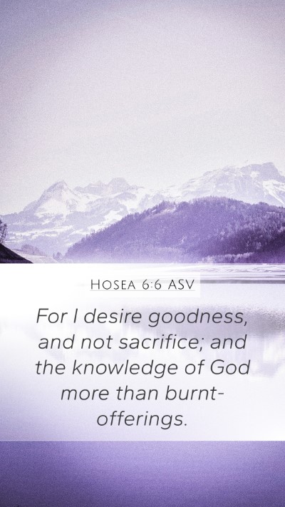 Hosea 6:6 ASV Bible Verse Image