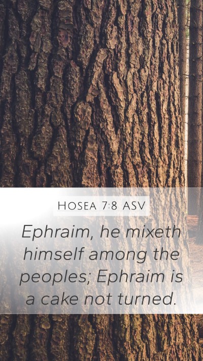 Hosea 7:8 ASV Bible Verse Image