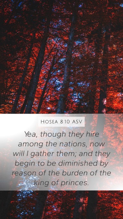 Hosea 8:10 ASV Bible Verse Image
