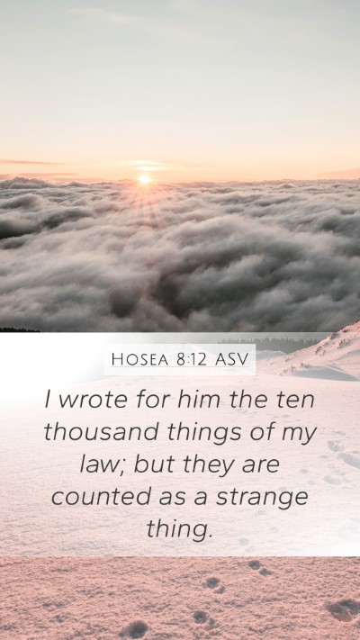 Hosea 8:12 ASV Bible Verse Image